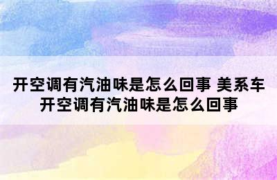 开空调有汽油味是怎么回事 美系车开空调有汽油味是怎么回事